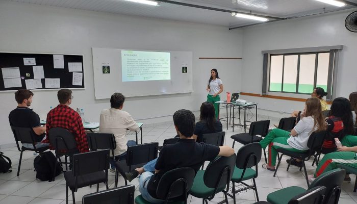 Apresentação dos projetos do II SEPEI