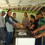 Alunos de Agroecologia aprendem sobre anatomia e fisiologia animal