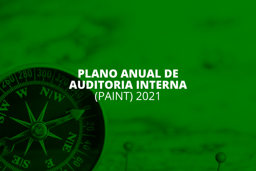 "Plano anual de auditoria interna. Paint 2021"