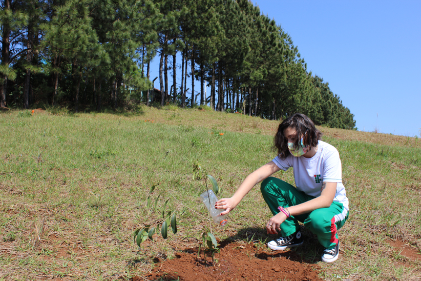 Na imagem, uma aluna do IFPR, uniformizada, planta uma árvore. Ao fundo, várias árvores, compondo um bonito cenário.