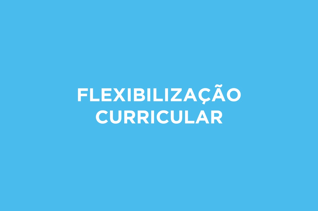 Imagem, com fundo azul claro, traz a inscrição: "Flexibilização curricular".
