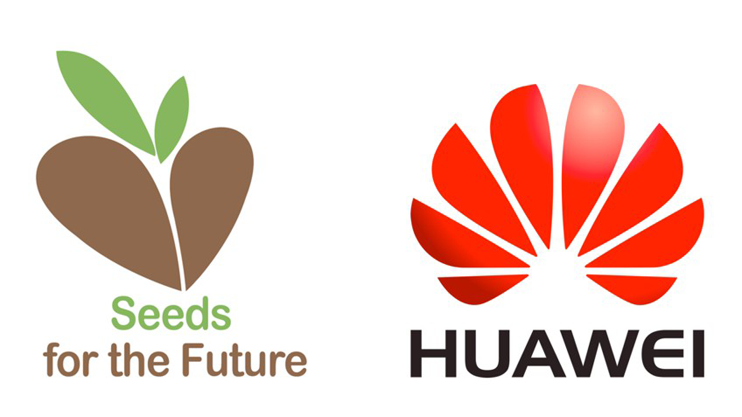 Marca do Programa Seeds for the future e da Huawei