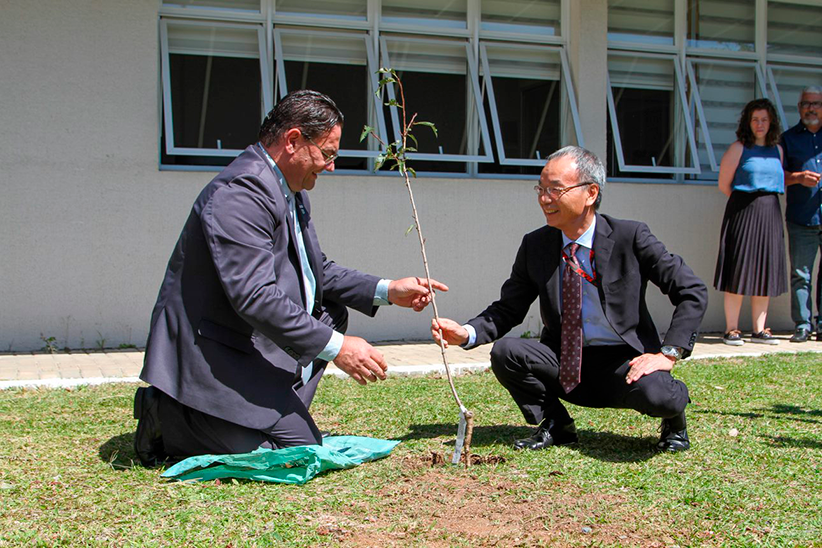 Reitor e cônsul plantam uma muda de árvore.